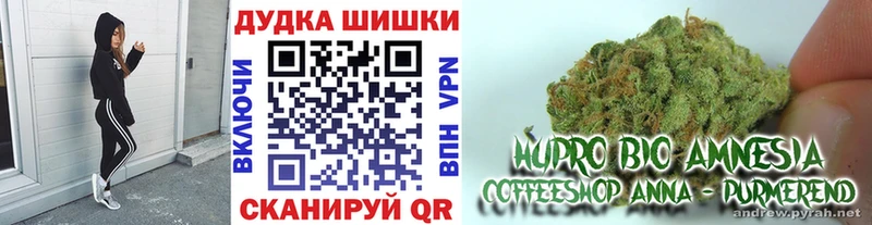 Купить закладки  Фатеж  Бошки марихуана тримм 